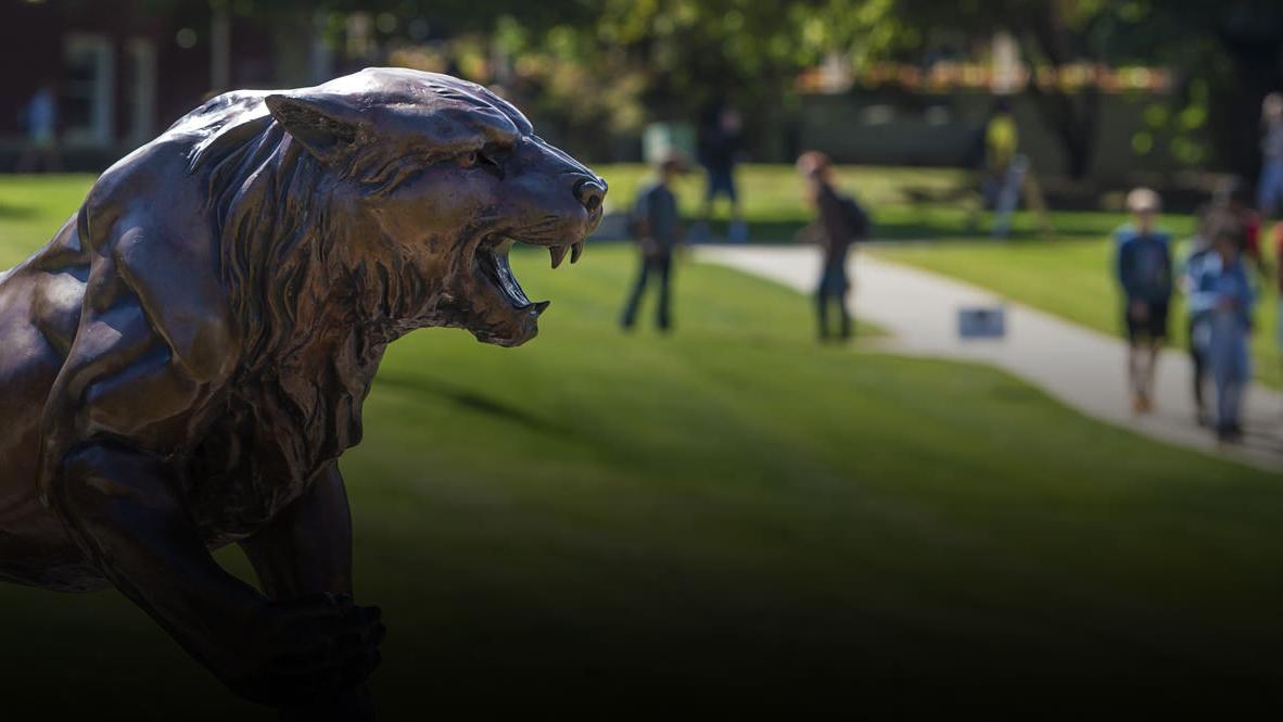 Photo of Bearcat Statue on the Campus Quad