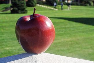 Photo of Apple on School Campus